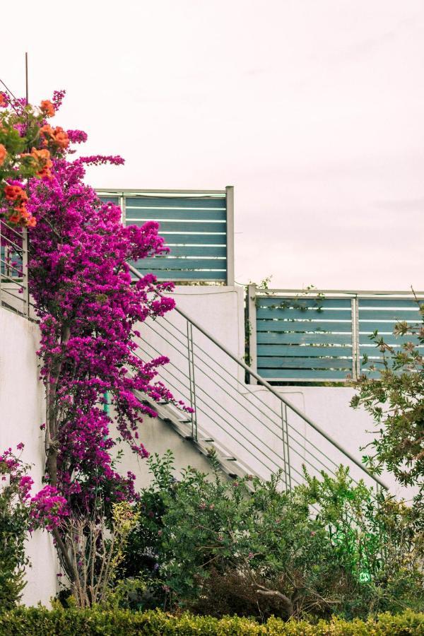 Aries Villas * Kalivia (Skiathos)